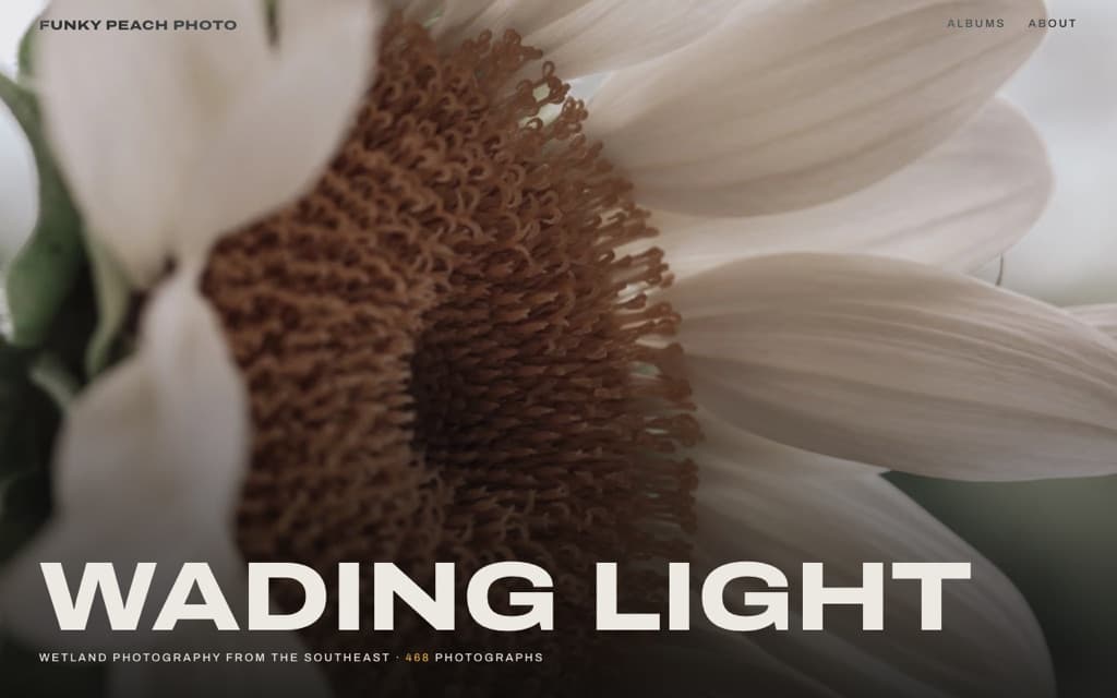 Funky Peach Photo homepage — full-bleed sunflower close-up behind the words Wading Light